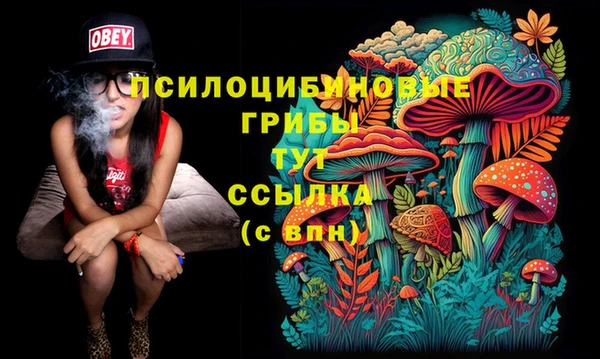 соль ск Абинск