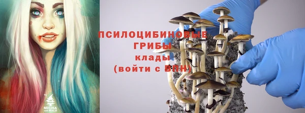 2c-b Куйбышев