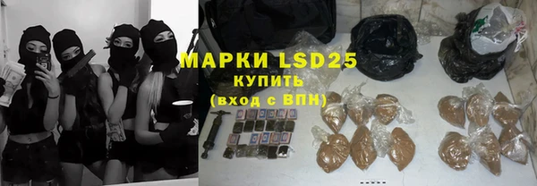 шишки Абаза
