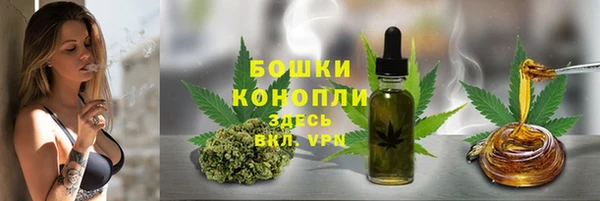 шишки Абаза