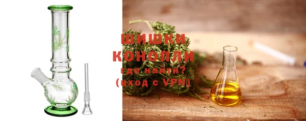 шишки Абаза