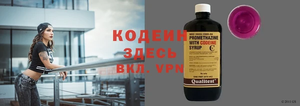 шишки Абаза