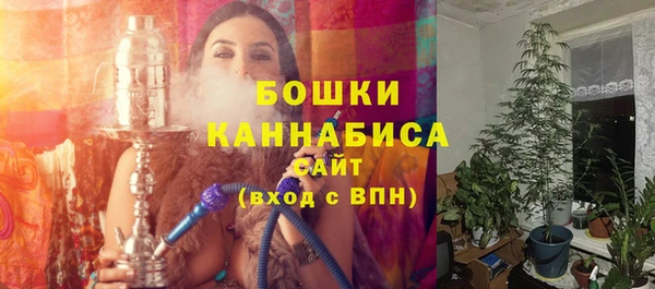 шишки Абаза