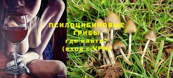 шишки Абаза