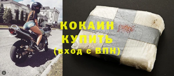 шишки Абаза