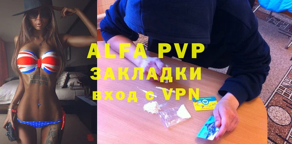 шишки Абаза