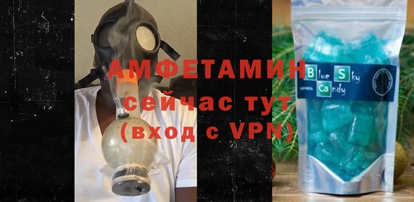 шишки Абаза